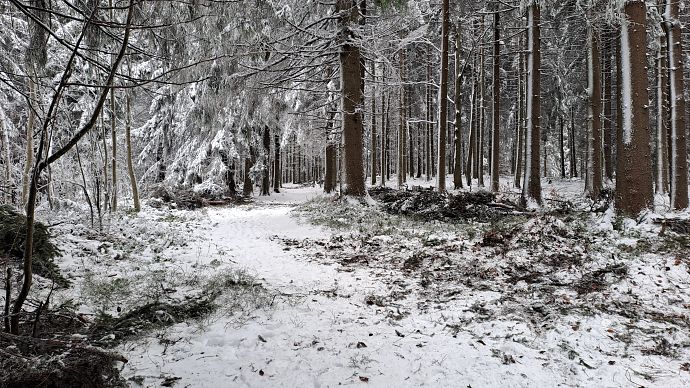 Přípravy na běžkařskou sezónu 2023 - 2024 vrcholí